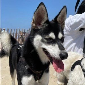 Meet your Posher, Christopher